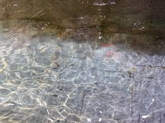 -水善汤泉休闲酒店(欣欣嘉园店)