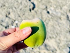 -三亚西岛海洋文化旅游区