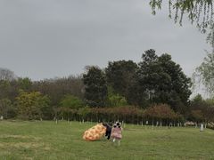 -青龙湖公园