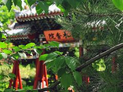 -迎泽公园