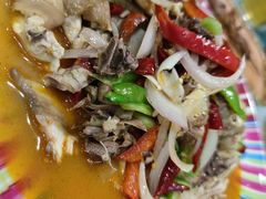 家乡椒麻鸡-新疆伊宁远征餐厅