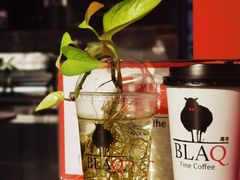 -BLAQ咖啡(骏豪店)