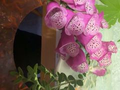 -黑木原精致料理·铁板烧