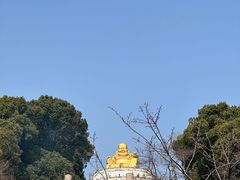 -苏州上方山国家森林公园