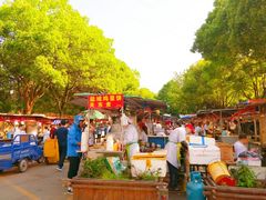 -郭阿姨月亮馍