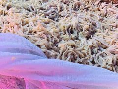 -临夏清真餐馆羊肉火锅(安德民族商贸城店)