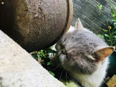 -老屋咖啡