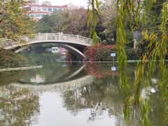 -东山湖公园