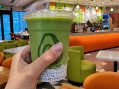 -油梨树 AVOCADO TREE(亮马桥店)