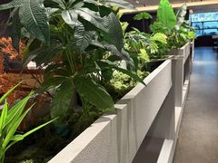 -巴黎春天(浦建店)