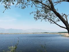 -野鸭湖国家湿地公园