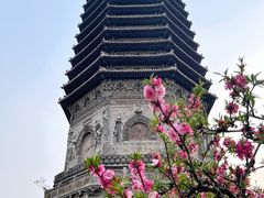 -玲珑塔公园