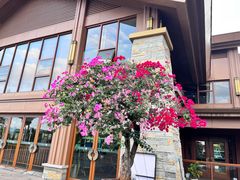 -湖泉半山温泉