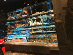 -彩福皇宴(皇室堡店)