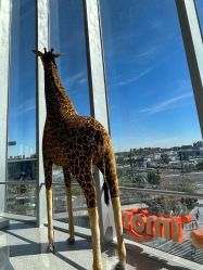 -IMON·HANSA潮玩玩偶毛绒玩具(通州万象汇店)