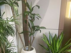 -七欣天香辣蟹火锅(苏州东大街店)