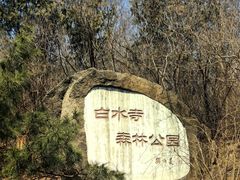 -白水寺森林公园