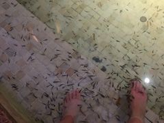 -春晖园度假酒店温泉