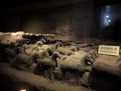 -汉景帝阳陵博物院