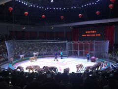 -西安秦岭野生动物园