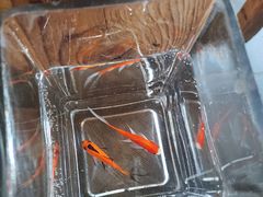 -瓦库茶馆17号(海汇港店)