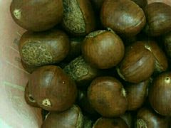 -金栗王(清扬路店)