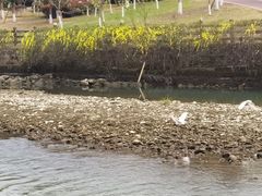 -府河摄影公园