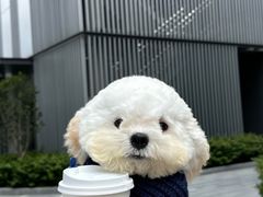 -沈阳铁西万象汇