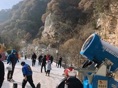 -少华山国家森林公园