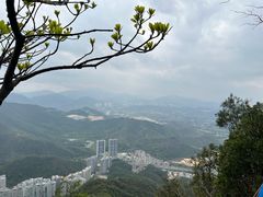 -梧桐山风景名胜区