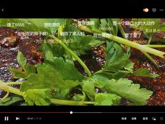 -温江公平红烧兔(总店)