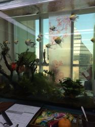 小左美发(南京东路店)-小左美发