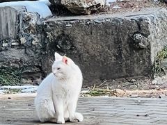 -北京市劳动人民文化宫(太庙)