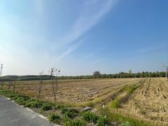 -嘉北郊野公园