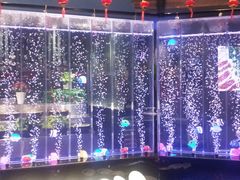 -欢乐牧场(T12店)
