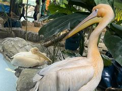 -海合安武汉极地海洋公园