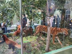 -国家自然博物馆