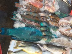 iphone_upload_pic-鸿港海鲜批发市场