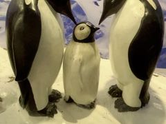 -上海海洋水族馆