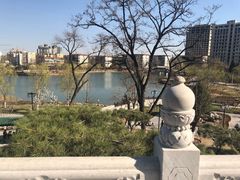 -西海子公园