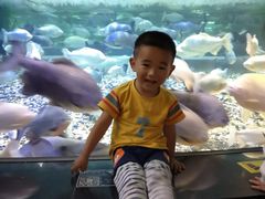 -成都浩海立方海洋公园