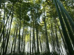 -同里国家湿地公园
