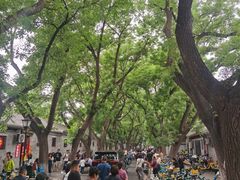 -北京国子监胡同