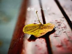 -小城粥道·海胆鲜虾粥(解放广场店)