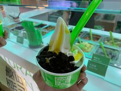 -Salud撒露欧洲冻酸奶(五道口购物中心店)