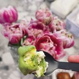 强推泸溪河龙井马蹄爆珠泡芙和黄油年糕
