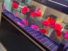 -上海和展广汽丰田4S店(老闵行店)