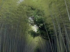-同里国家湿地公园