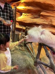 -酷嗒动物文化乐园(cutezoo西溪乐天城店)