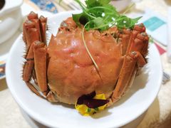 -卫鼎轩·曹公馆(鼓楼店)